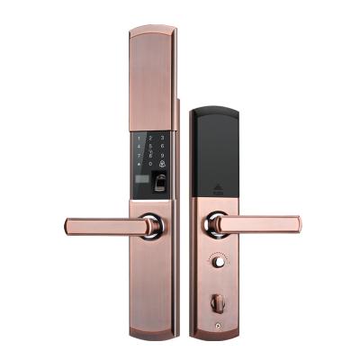 China OEM Home Apartment Hotel Office Rim Card Exterior Door Locks Cylinder Door Locks tuya smart wifi candado Inteligente For Screen Start Key Biometric Fingerprint for sale