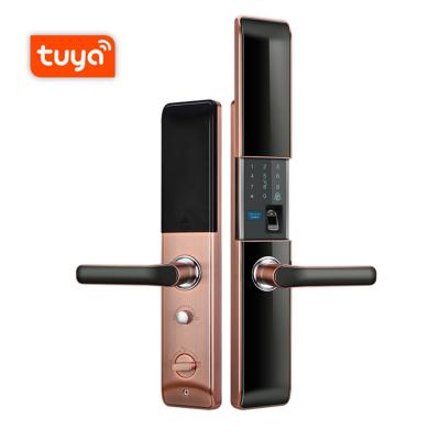 China Classical Outdoor Smart Biometric Digital Fingerprint Door Lock OEM Home House Apartment Hotel Office Electric Cerradura Inteligente With Mortise 6068 for sale