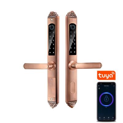 China Office hotel apartment security double side dool cylinder fingerprint door lock electric home electronics for home front entrances fingerprint tuya wifi for sale