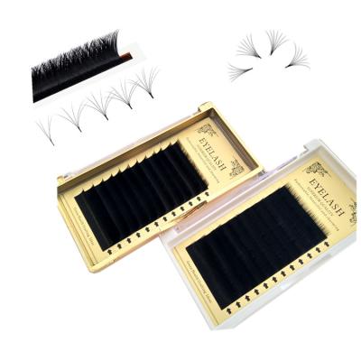 China Crutely Free 0.05 & 0.07 Volume Eyelash Extensions Easy Fanning Private Labels Lash Extensions for sale