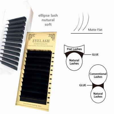 China 2021 Real Faux Mink Lashes Ellipse Eyelash Extensions Soft Light Flat Lashes Natural Soft Matte Flat Individual Lashes whoselase for sale