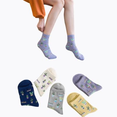 China Cartoon Plant Cactus Antibacterial Pattern Socks Cozy Cute Girl Cotton Casual Soft Socks Sokken Warm Short Socks Women for sale