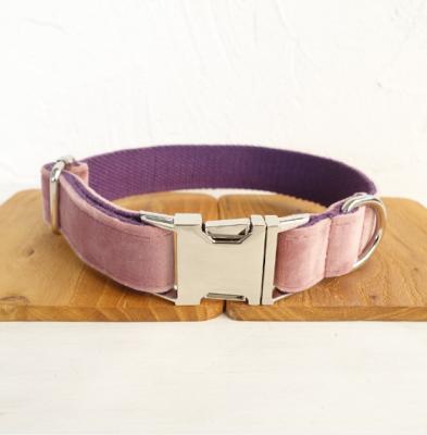 China HY 2021 Newly Designed Viable Dog Collar Velvet Rose Pattern Casual Style Adjustable Dog Collar for sale