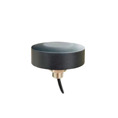 China EPP GPS Antenna SMA Cable Screw Antenna for sale