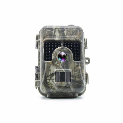 China PORTABLE Trail Game Hunting Camera Wildlife Observe Wild Research Camera With 3 Mega Pixel Color CMOS for sale