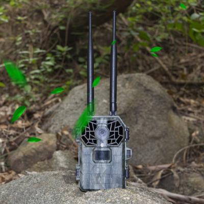 China New Arrival 4G LTE Live Stream Solar Powered Wireless System Cellular Remote Control Wildlife Night Hunting Trail Camera with SIM Card for sale