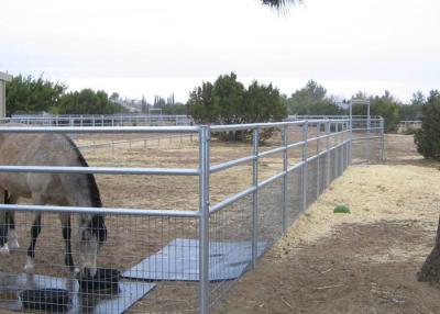 China el caballo soldado con autógena 2x4 del alambre artesona 4 la cerca soldada con autógena indicador del caballo del indicador 6 en venta