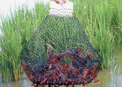 Chine Woven Hexagonal Net For Catching Crayfish Wire à vendre