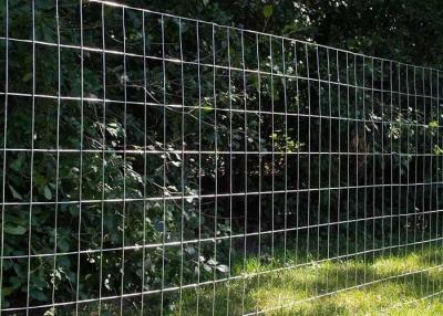 Cina Fence laminata di filo galvanizzato saldato con maglie di dimensioni 2 x 4 in vendita