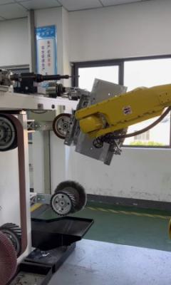 Chine Système de robot de débroussaillage automatique personnalisable bras robotique de débroussaillage de haute précision à vendre