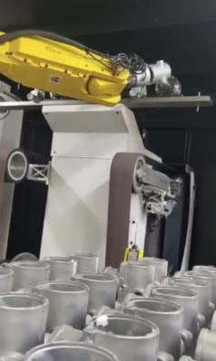 Chine Robot de débrisage à contrôle de précision Robot de débrisage intelligent automatique à grande vitesse à vendre