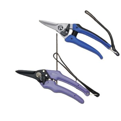 China Anti-Slip Handle Factory Price Garden Tools Scissors Shear Tree Flower Pruner Steel Gardening Cutting for sale