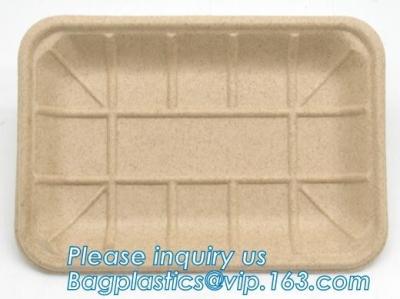 China corn starch biodegradable meat tray corn starch dinnerware sets  biodegradable cake tray Rectangular Tray Paper Food Tra for sale