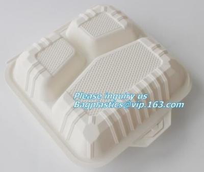 China Food Serving Compartment Tray, Food Meat Packaging Tray, eco friendly vegetable tray for sale