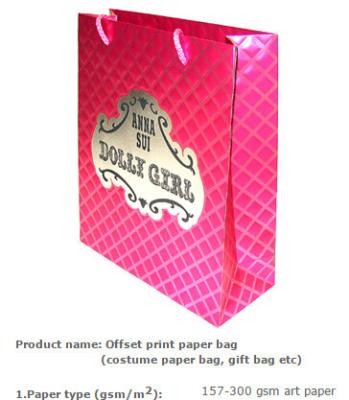 China pp rope paper bag/paper shopping bag with 15 years experience/bolsa de papel ropa for sale