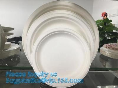 China Compostable biodegradable dinner plate corn starch plate,Elegant Disposable Corn Starch Bio Plastic Dinner Plates bagpla for sale