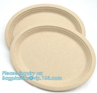 China biodegradable tableware 5 compartment sugarcane tray,100% Biodegradable Disposable Sugarcane Paper Raw Material Composta for sale