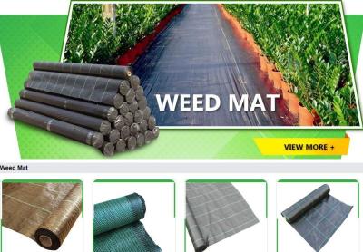 China Weed Barrier, weed fabric, Anti Grass Cloth,Ground Cover Vegetable Garden Weed Barrier Anti Uv Fabric Weed Mat,weed mat for sale