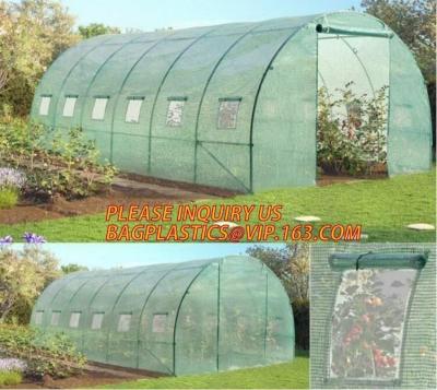 China polycarbonate plastic sheet agricultural mini garden green house,plastic walk in dome garden green house, SUPPLIES, PAC for sale