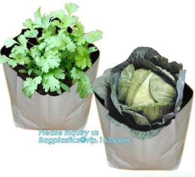 China 15 GALLON Hole Plastic LDPE Grow Bags For Nursery, Black & White PE Grow Bags for Hydroponic and Horticulture use, BAGEA for sale