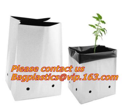 China Flower bags, flower plant bags, planters, poly plant grow nursery bags,Black Polythene Poly Pots, plantin for sale