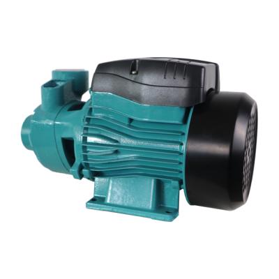 China Developing World Water Solutions STRATEGY Series High Water Depth 1 Hp 0.5hp DC Surface Pump for sale