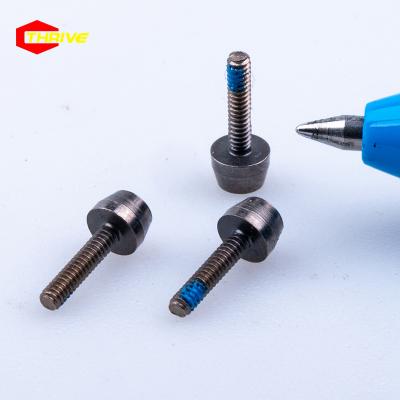 China Pan China High Precision Mini Swivel Bolts Dental Implant Medical Titanium Screw for sale