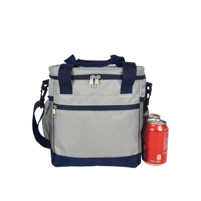 China 2020 Hot Sale 12 Insulated Box Insulated Cooler Bags for sale