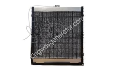 China 40KW Kubota Diesel Engine Generator Radiator For LPG Diesel Generator for sale