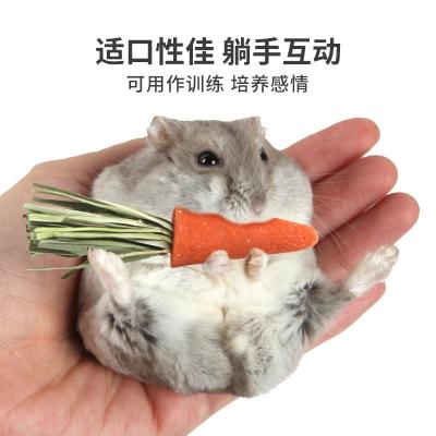 China Golden Bear Bunny Small Hamster Animal Snacks Mini Chewing Carrot Baby Carrot Molar Cake for sale