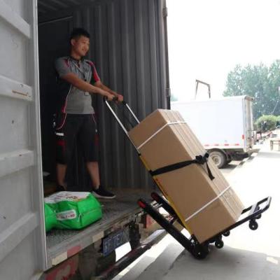 China EMSS Manufacturer Plastic Folding 4 Wheels Cargo Trolley Hand Platform Strong Chinese Transport Truck PLA200P-DX for sale