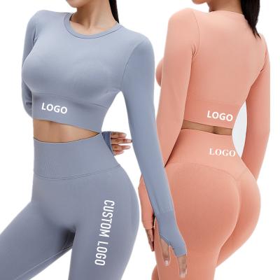 China Autumn Seamless Yoga Suit Breathable Fitness Sports 2 Piece Set Women Long Sleeve Workout Top Sportswear Gaiters Crop Gym Custom Logo for sale