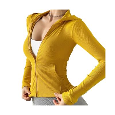 China Anti-UV Hooded Sports Fitness Yoga Zipper Top Women's Gym Tight Sports Sheath Long Inch Striped Seamless Yoga Vest-T-Shirts for sale