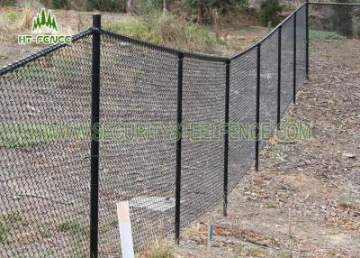 China Galvanized Chain Link Wire Fence 2.5mm Wire Diameter For Sports Field / School for sale