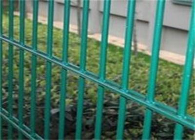 China Twin Wire 8 / 6 Double Wire Fence Wrought Iron Style / Green Pvc Coated Wire Mesh Fencing for sale