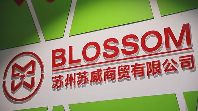 Verified China supplier - Suzhou Blossom Group