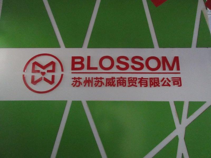 Verified China supplier - Suzhou Blossom Group