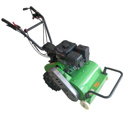 China Farms Factory Sale Gasoline Lawn Mower 460mm Hand Push Mowers Cultivate Tools for sale