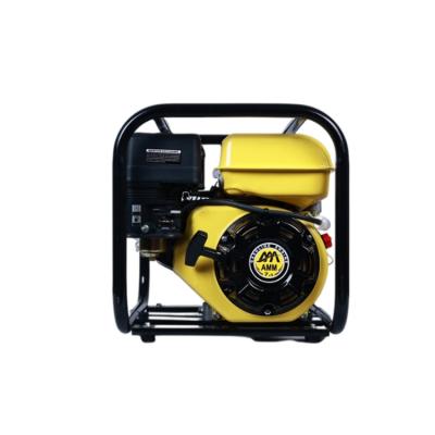 China Other Well Water Pump Gasoline Engine For Irrigation Agriculture Water Pump Gasoline for sale