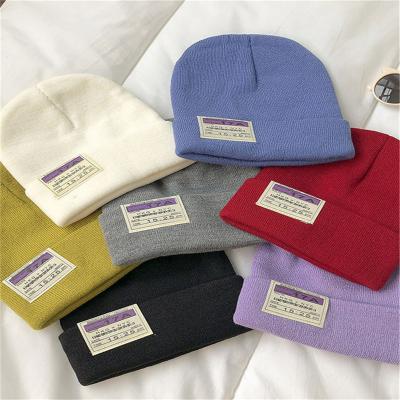 China 2021 Winter New Small COMMON Warm Label Hat Fried Street Hat Solid Color Casual Dome Knitted Hat Women for sale