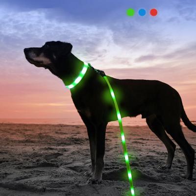 China Padded Puppy Pet Collar Rechargeable Led Leash Set Cuttable TPU Dog Collar Glowing Collar For Dogs for sale