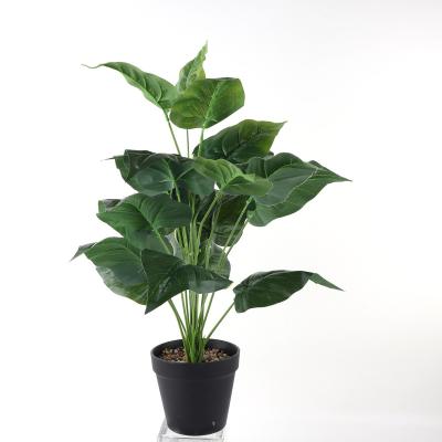 China New Design Modern Natural Mini Touch Plastic Green Leaf Artificial Bonsai Flooring Natural Indoor Home Decoration for sale