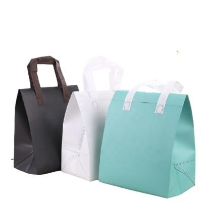 China Recyclable Amazon Vends Nonwoven Lunch Bags And Ice Packs Can Be Customized for sale