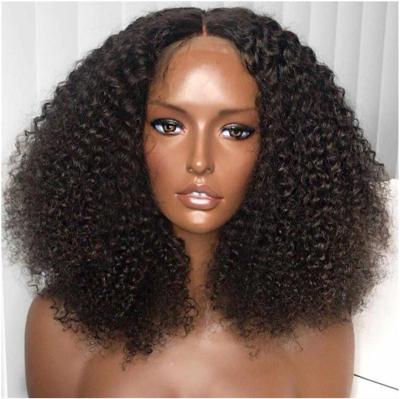 China Amazon Hot Selling Cheap American Black Women Afro Curly Small Medium Long Hair Wig With Gift Free for sale