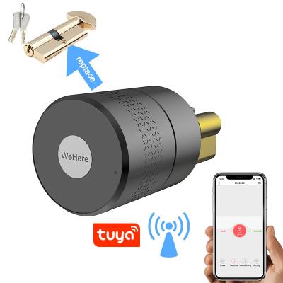 China Fingerprint Smart Biometric Door Lock App Door Lock Tuya WiFi Office Hotel Residence Lock Digital Keyless Lock for sale