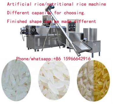 China 2020 Factory Wholesale High Quality Artificial Rice Equipment for sale