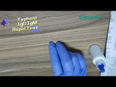 15mins Typhoid Rapid Test Kit Feces Serum Plasma Sample Salmonella Typhi Antigen Test