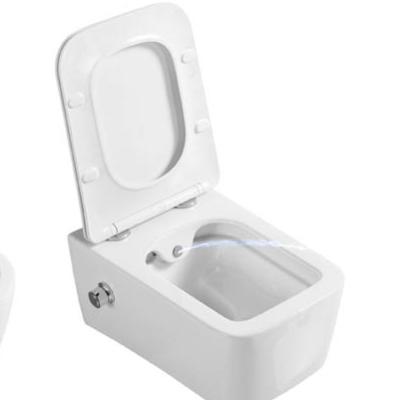 China Wall Mounted White Cistern WC Hidden Around Rimless Ceramic Toilet for sale