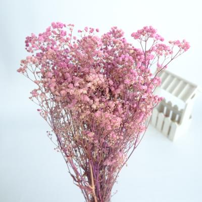 China Natural flower preserved flowers gypsophila babysbreath preserved gypsophila for decorative flowers and garlands for sale