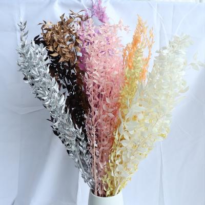 China Wholesale colorful preserved flower ruscus dried flowers ruscus for wedding decoration for sale